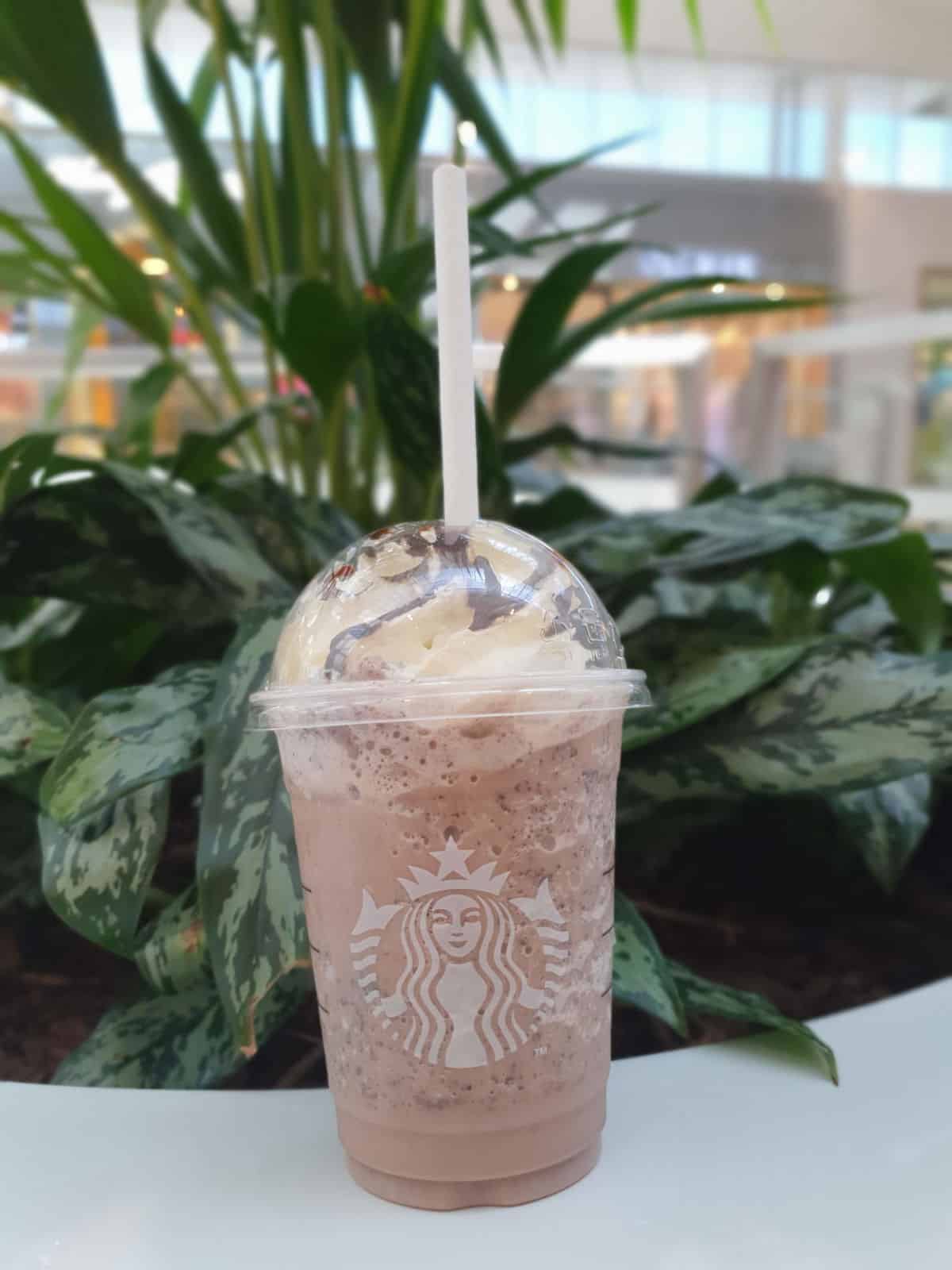 Do Starbucks Frappuccinos Have Coffee In Them? Creators Of Coffee