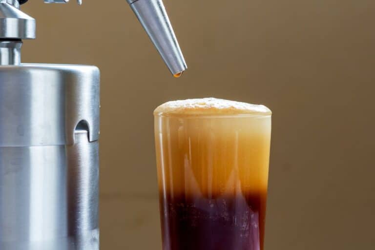 Best Nitro Cold Brew Coffee Maker For Nitro Coffee At Home [2024