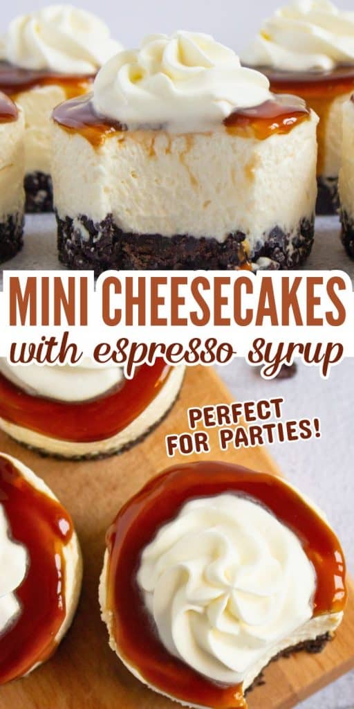 collage of no bake mini cheesecakes with text.