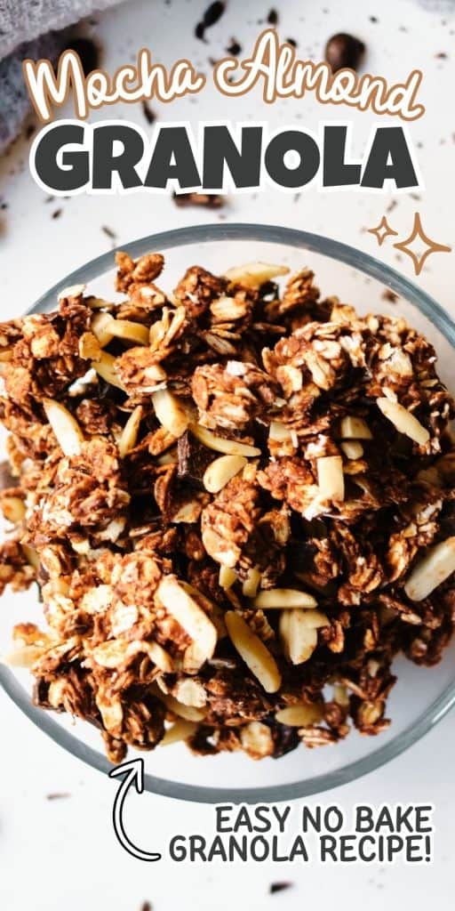 bowl of mocha granola.