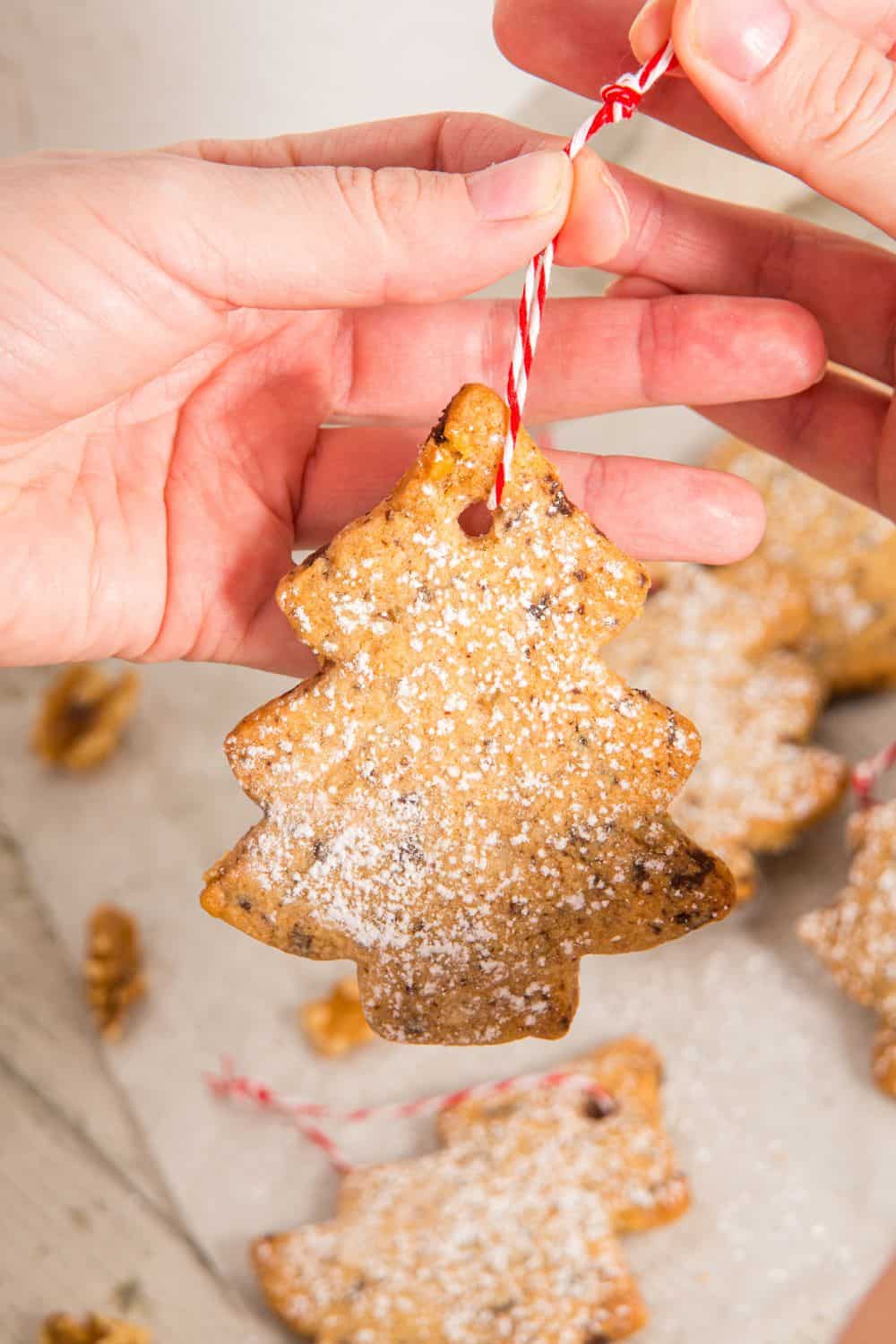 christmas cookie ornament for hanging.