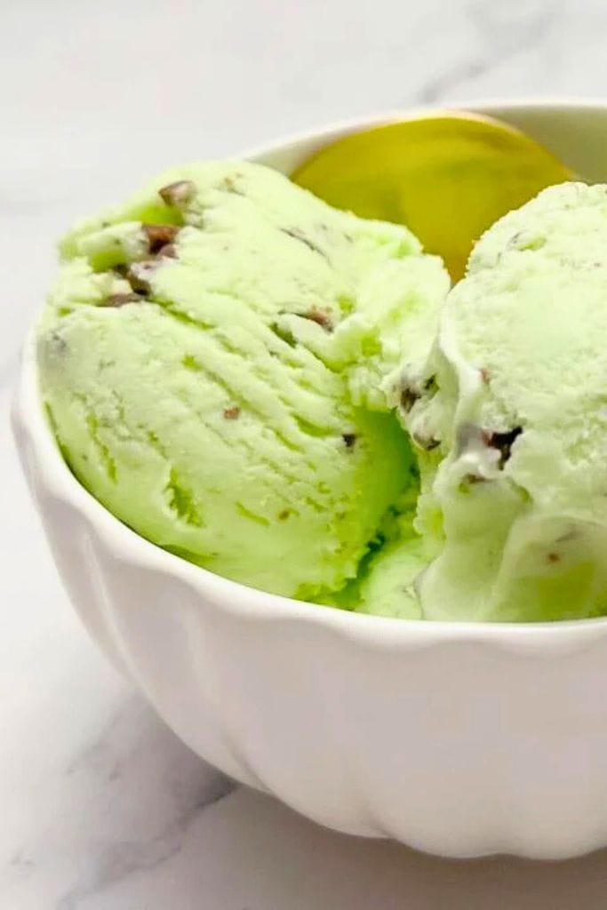 chocolate mint ice cream in a bowl.