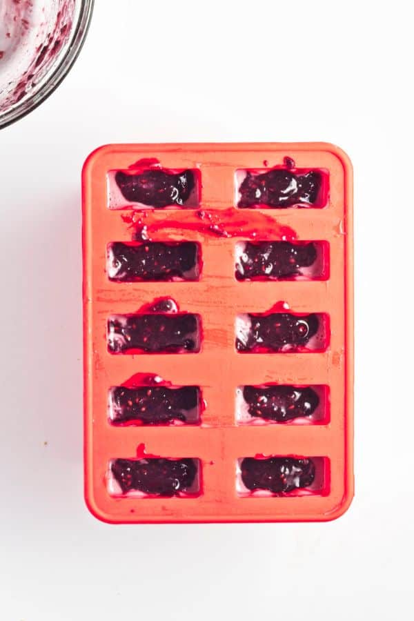 fruit popsicles in popsicle mold.