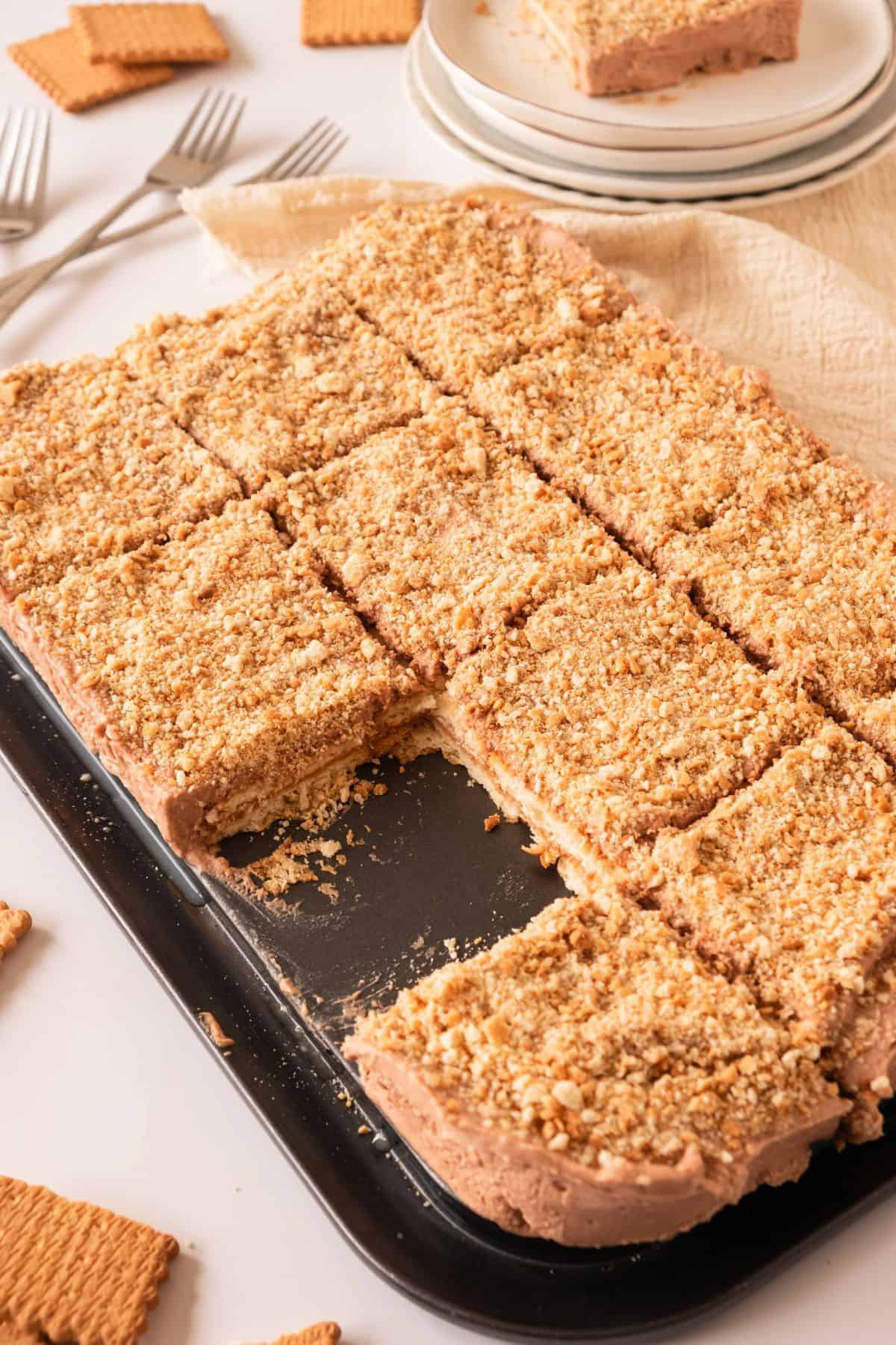 mascarpone biscuit cake in tray.
