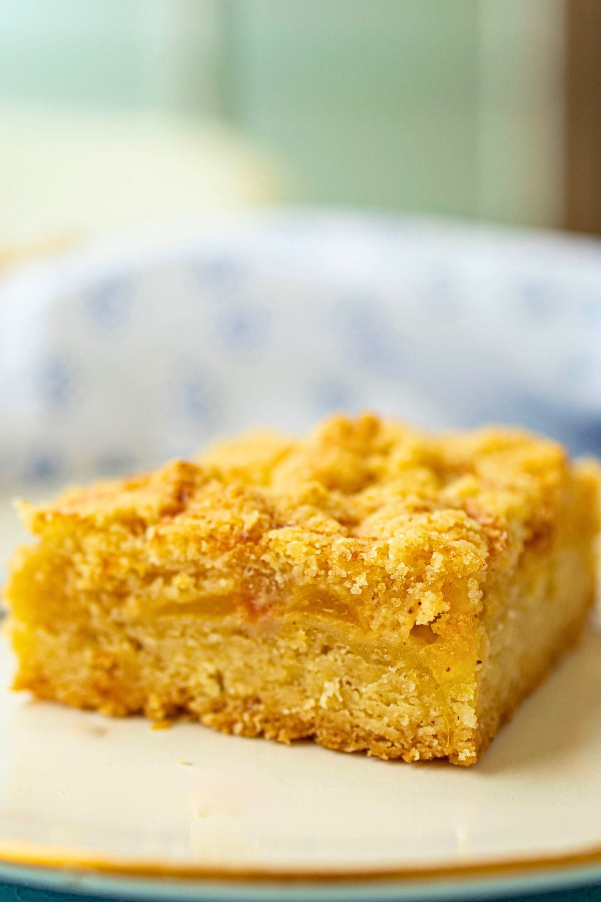 peach summer dessert square on plate.