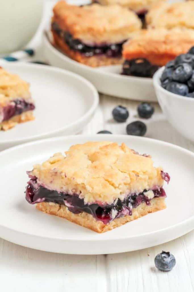 blueberry dessert bar.