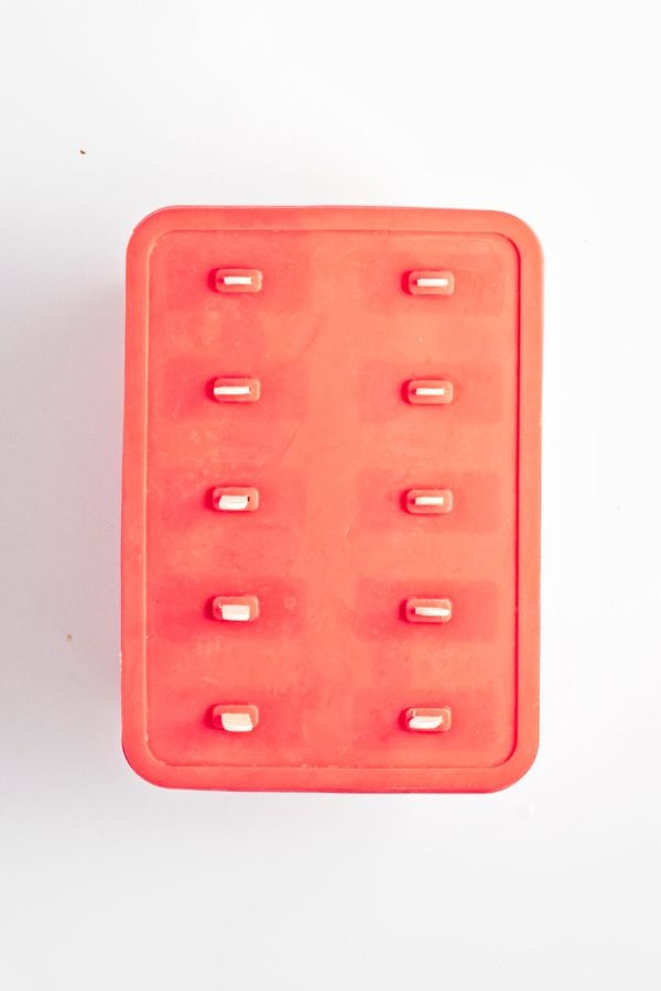 popsicle mold with lid on and popsicle sticks inserted.