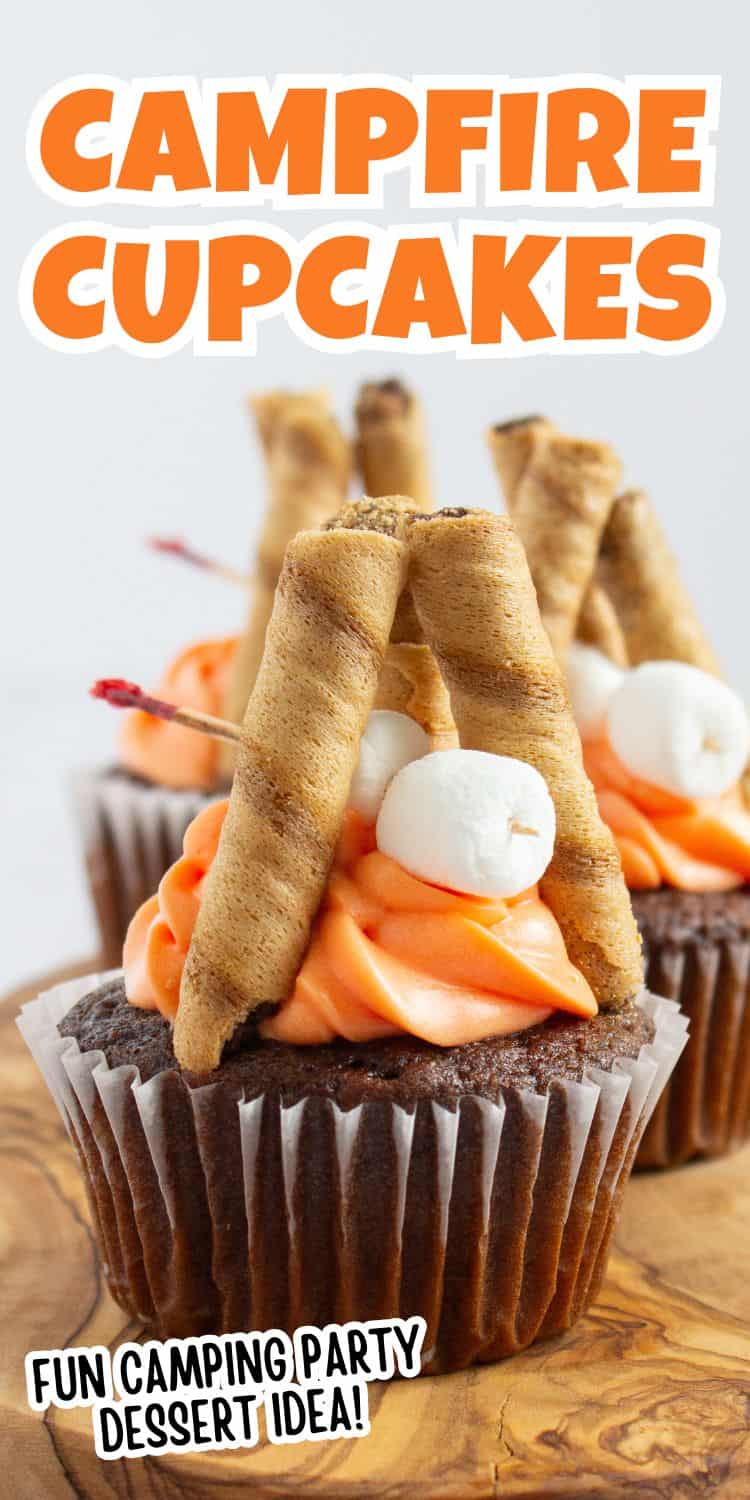 chocolate nutella filled cupcakes camping theme.