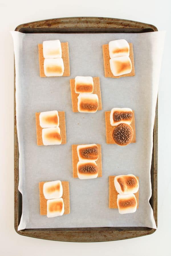 broiled marshmallows on graham crackers.