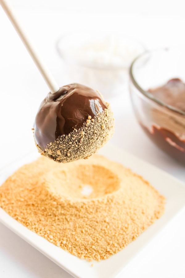 cake pop dipped in graham cracker crumbs.