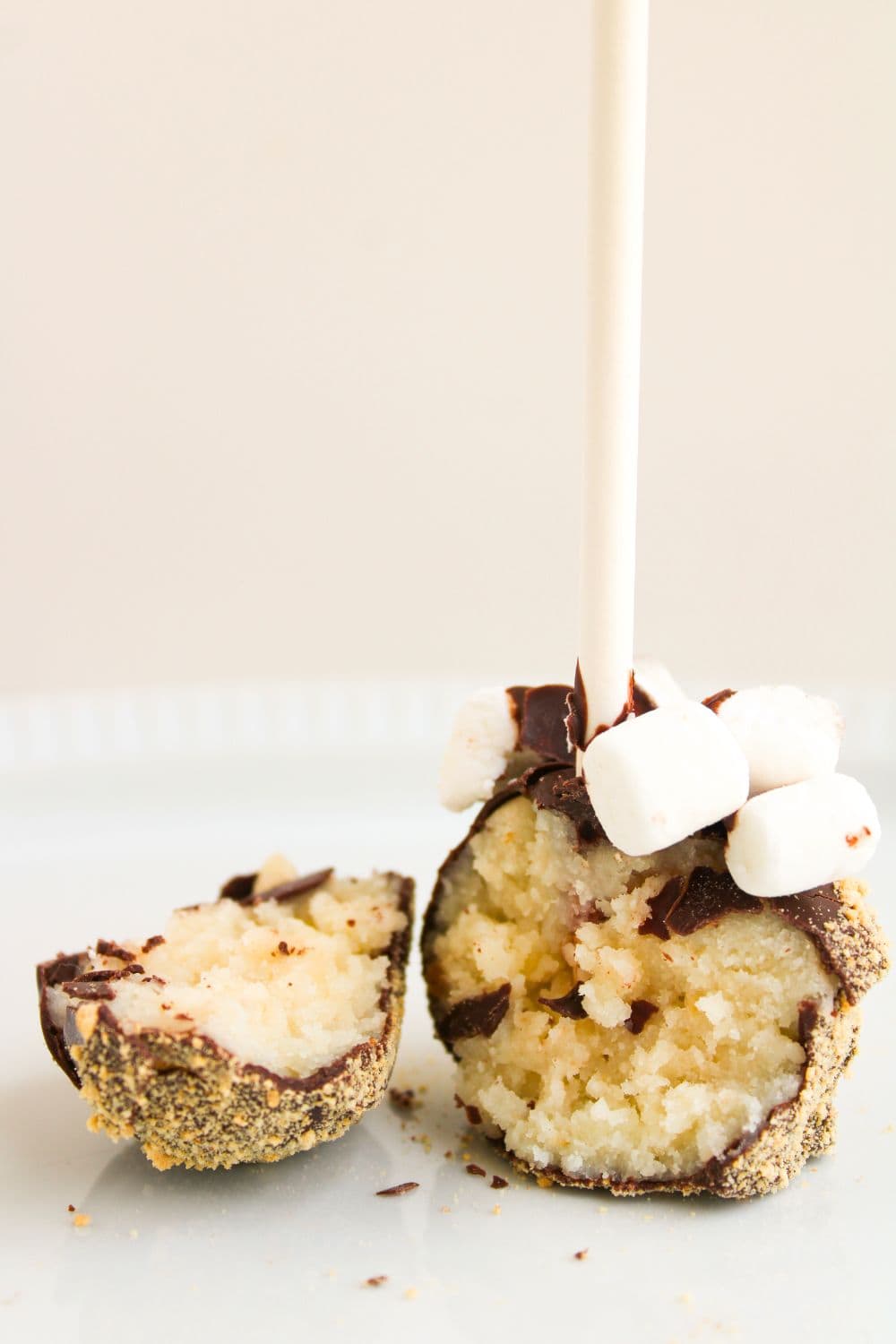 camp theme cake pop on plate.
