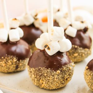 closeup of smores cake pop with marshmallows.