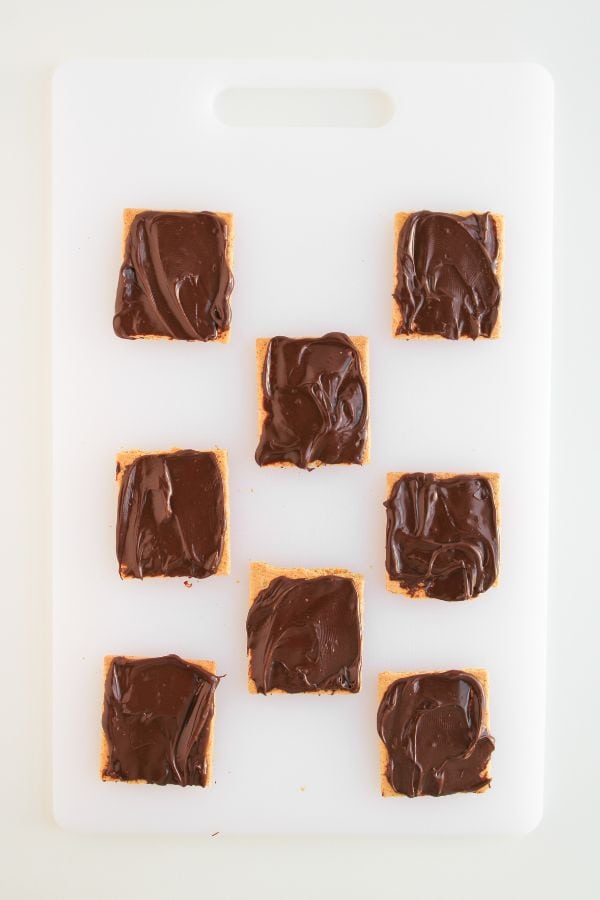 graham crackers with nutella on top.