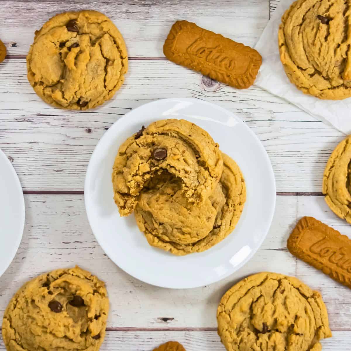 homemade biscoff cookies on plate.