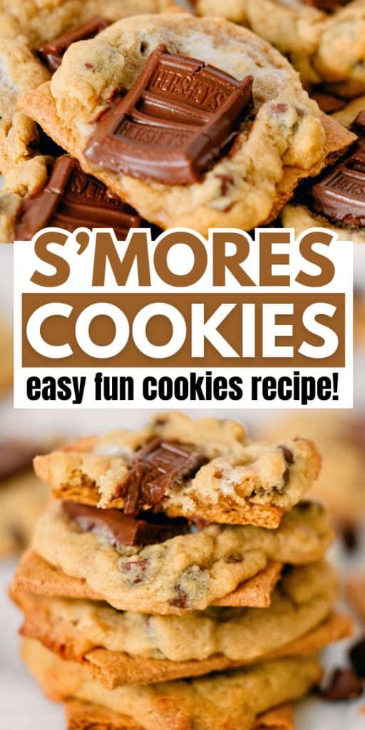 collage of homemade cookies with graham crackers.