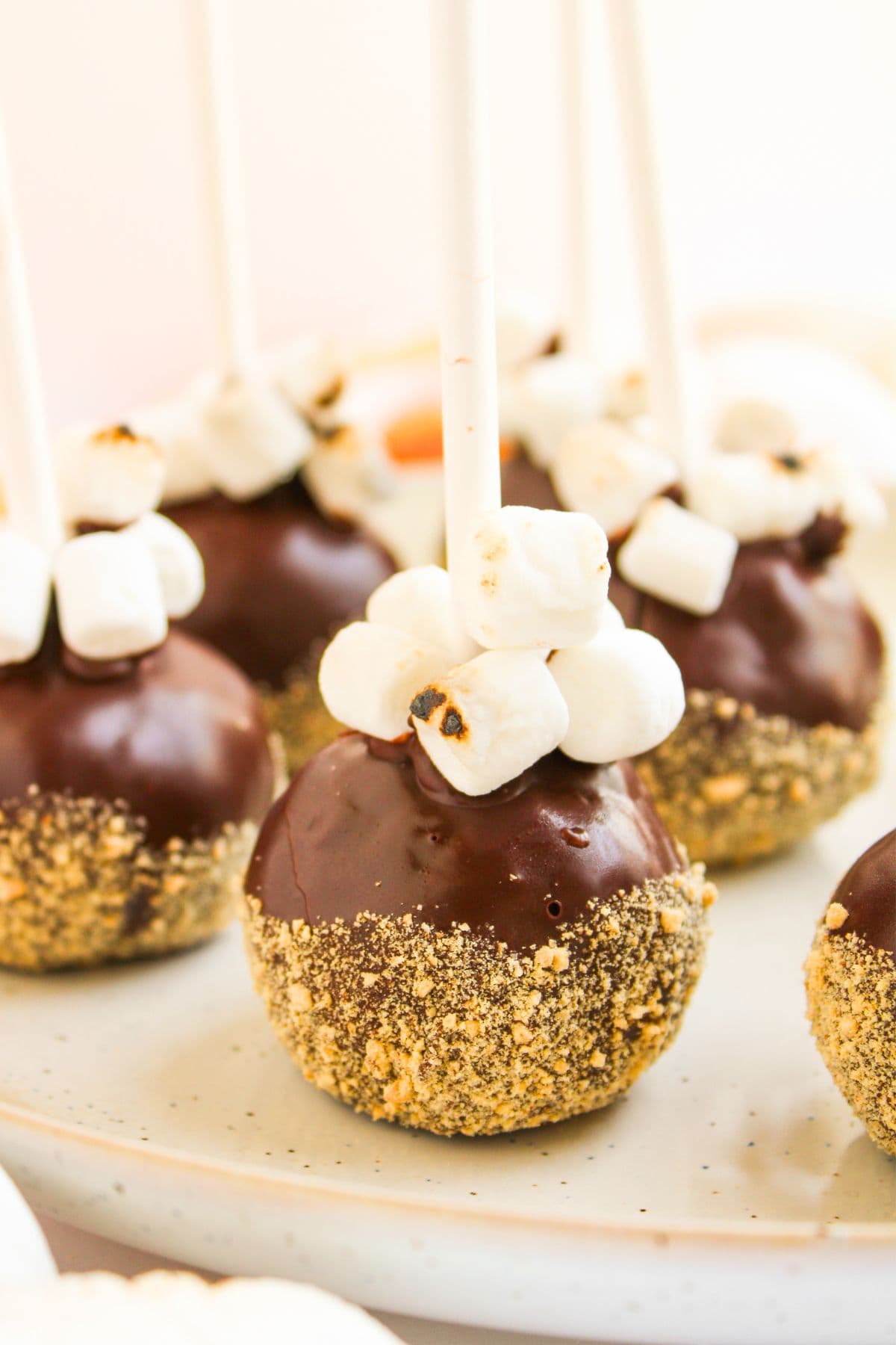 smores cake pops on plate.