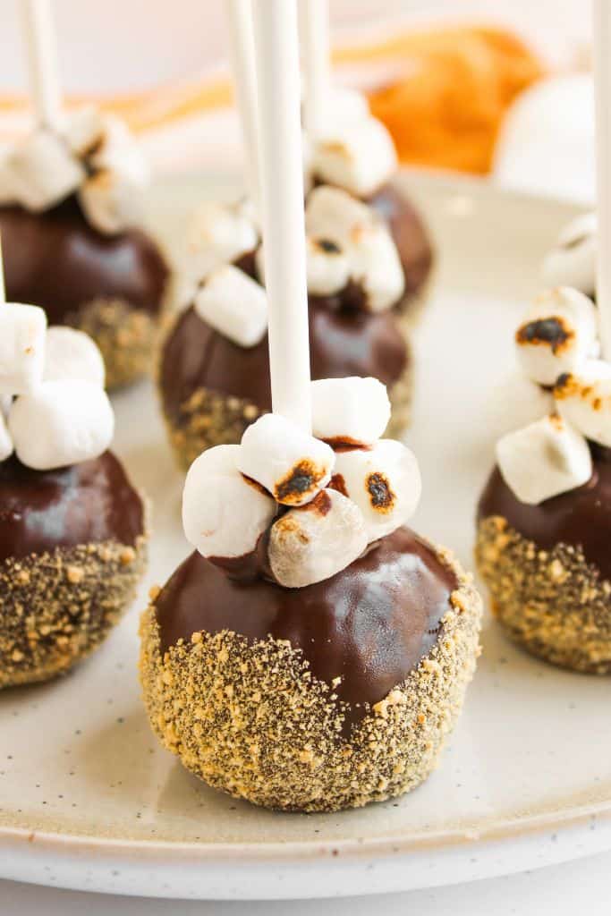 smores flavored cake pops on plate.
