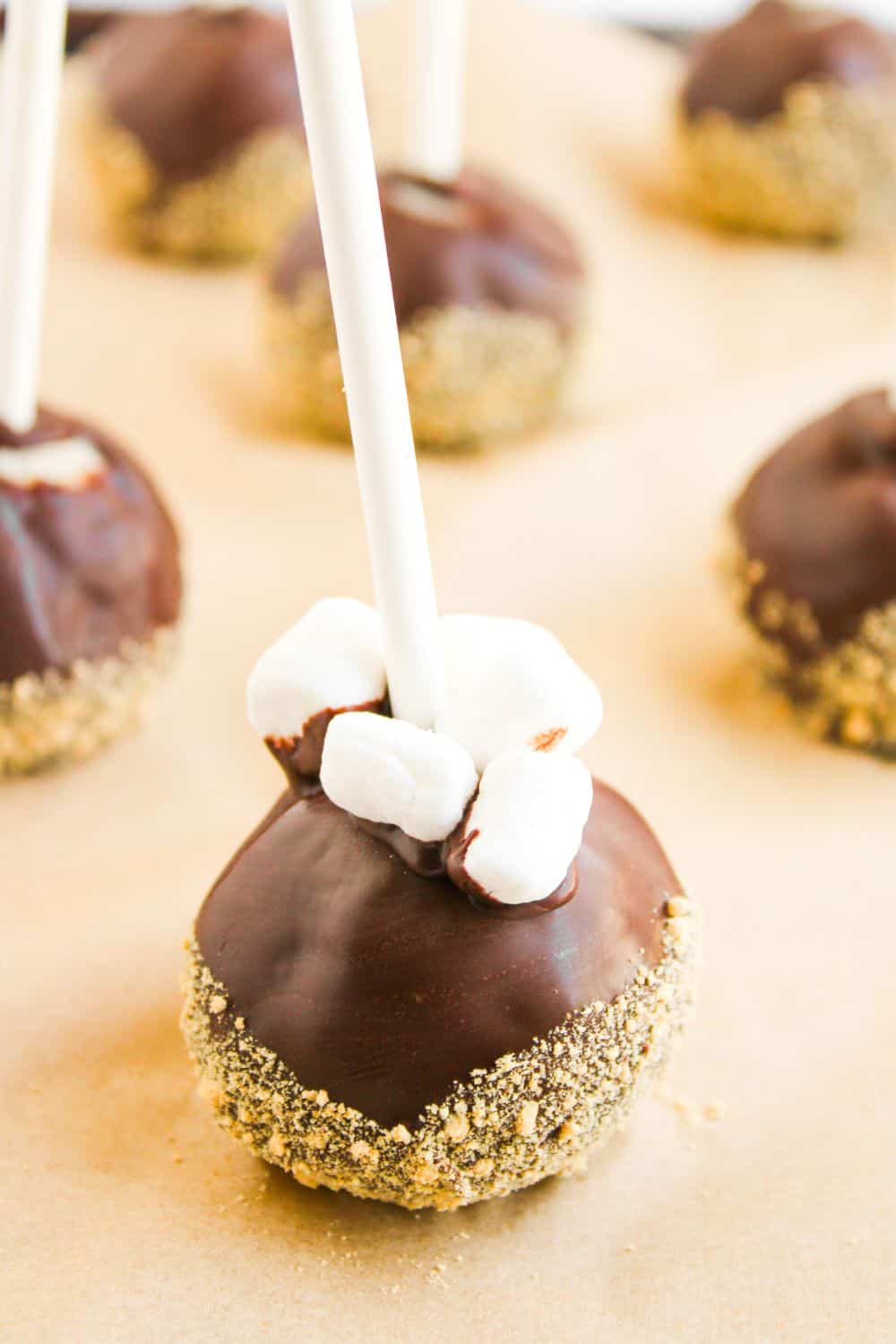 decorated smore cake pop.