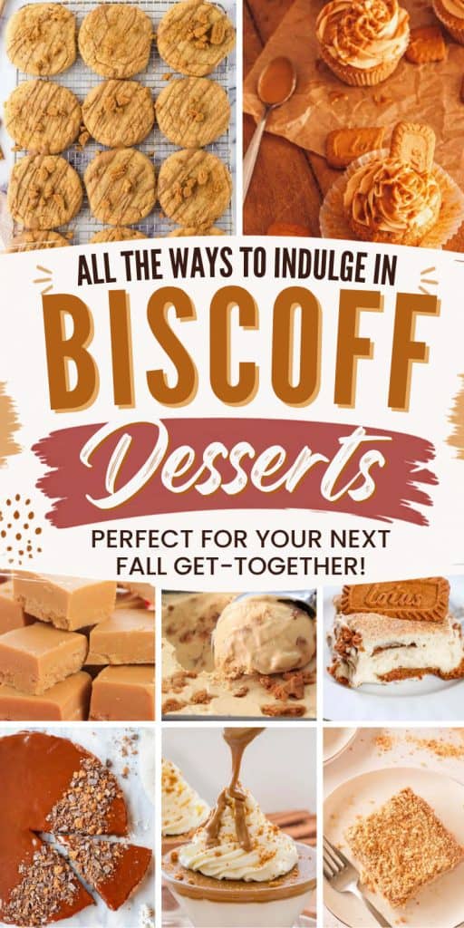 collage of biscoff dessert ideas.