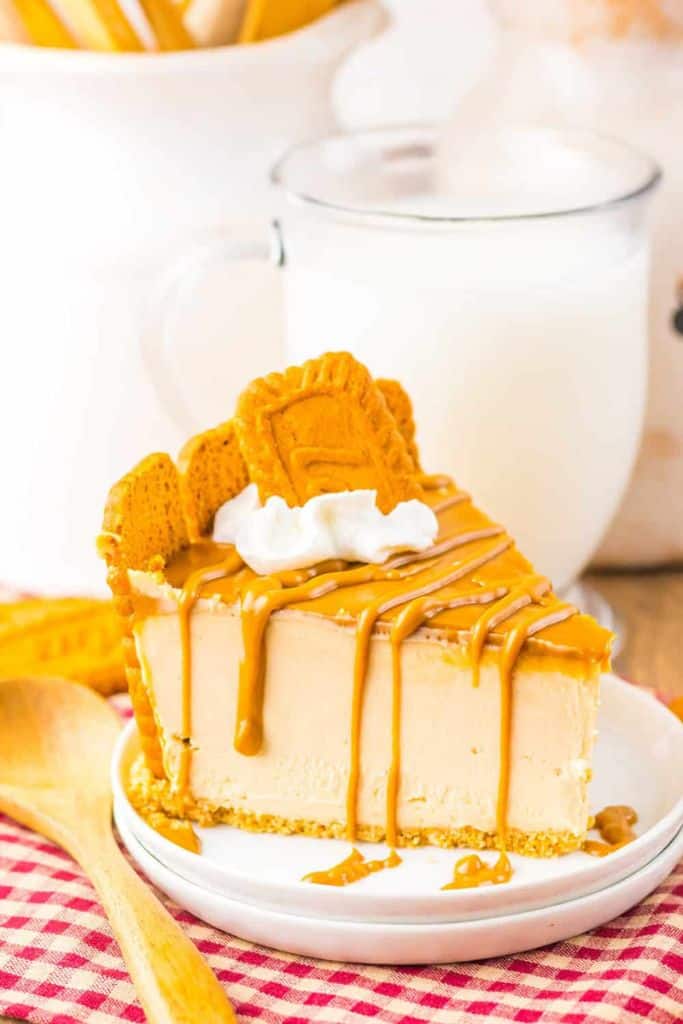 slice of biscoff cheesecake drizzled with biscoff spread.