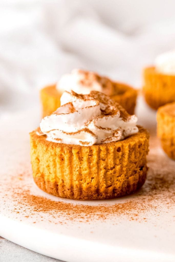 individual pumpkin cheesecake topped with cream on plate.