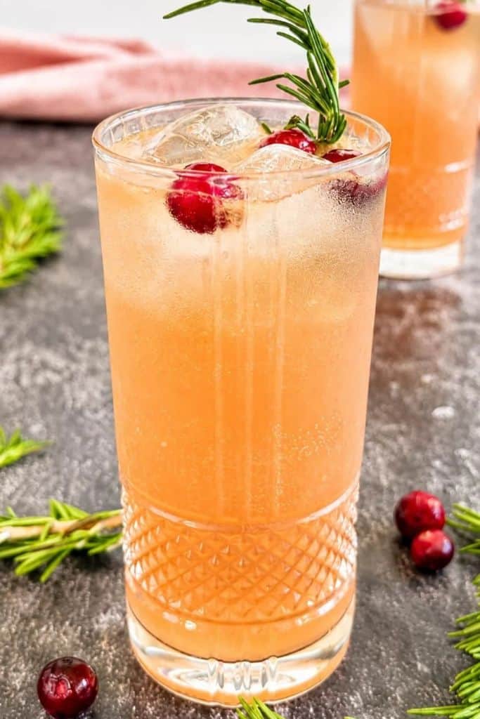 cranberry gin fix mixed drink in tall glass.