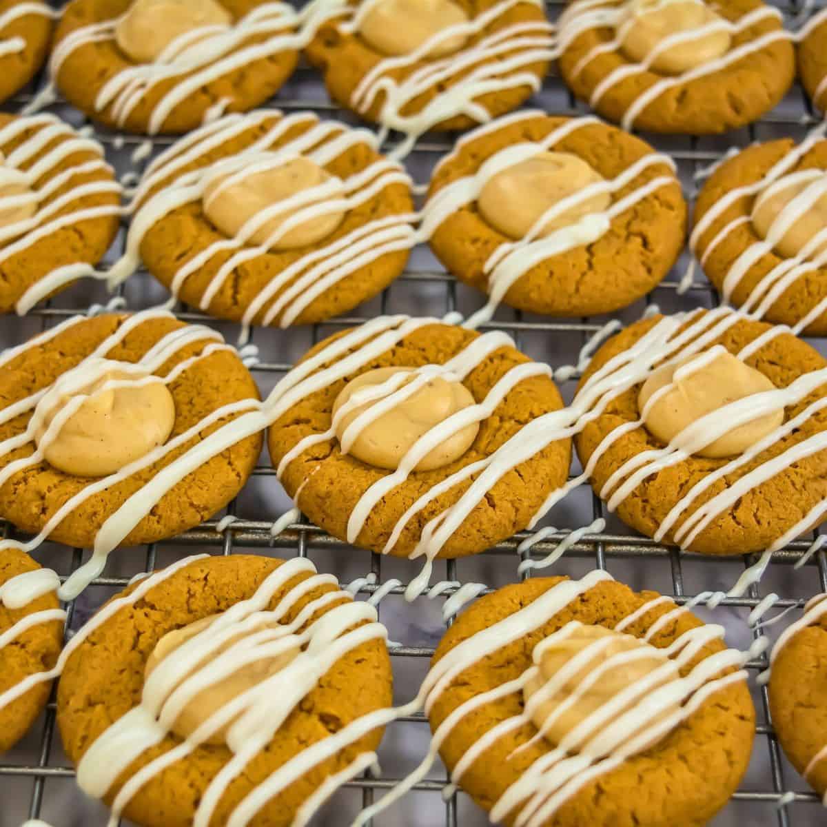 ginger cookies with spiced chocolate filling.