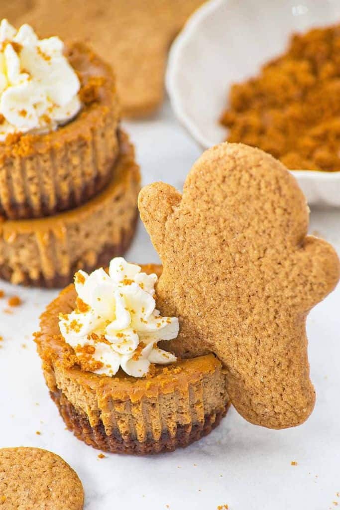 mini gingerbread cheesecakes with gingerbread cookie.