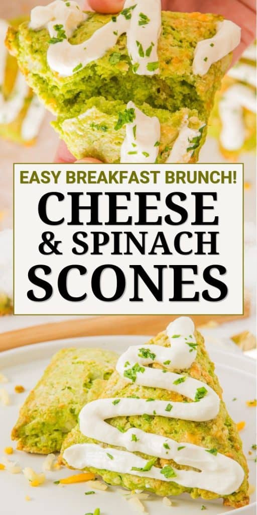 collage of savory scones.